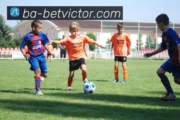 betvictor伟德官网发展历程